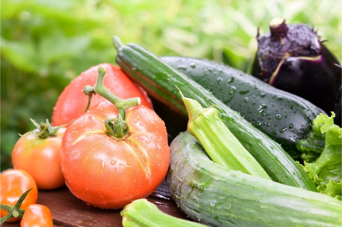 verano alimentos ecológicos de temporada huerta ecologica