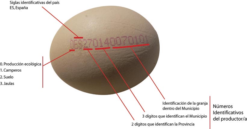 huevos-codigo-eco-infografia-actualidad-ecologica